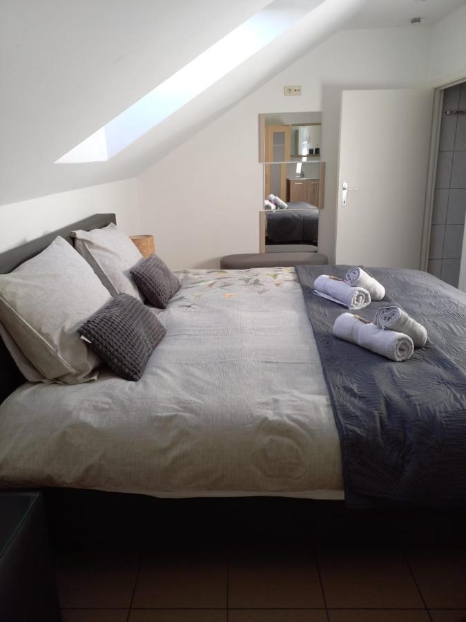 De Achtertuin Apartment มาสแมเคอเลิน ภายนอก รูปภาพ